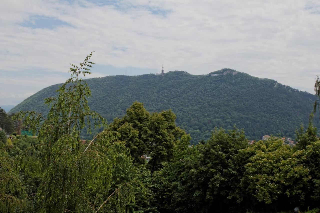 Stejeris Gasthof Brașov