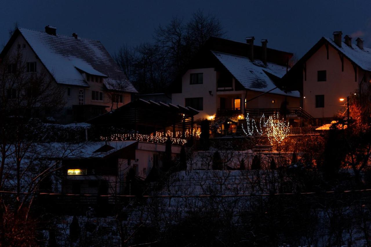 Stejeris Brașov