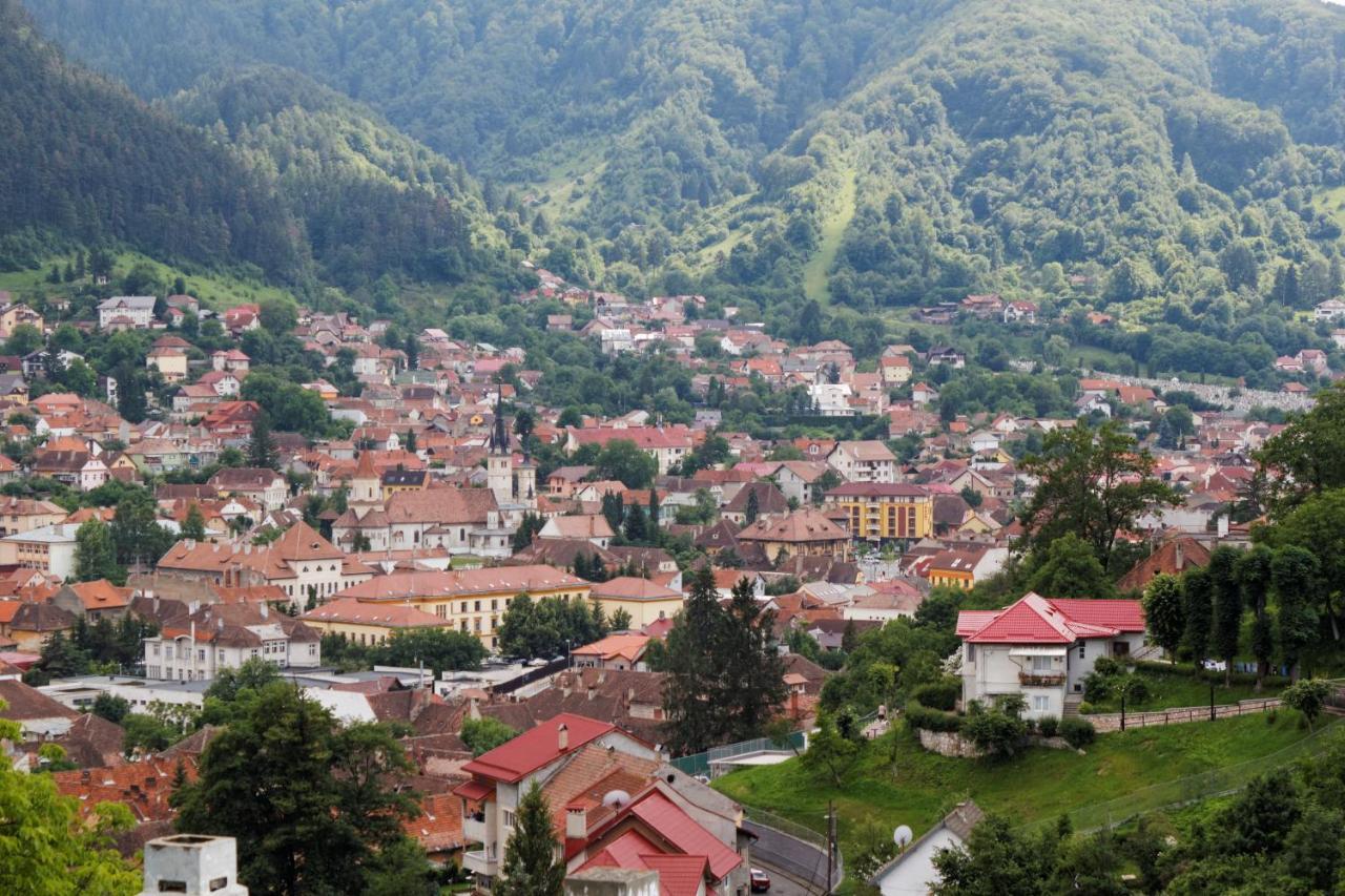 Stejeris 3* Brașov