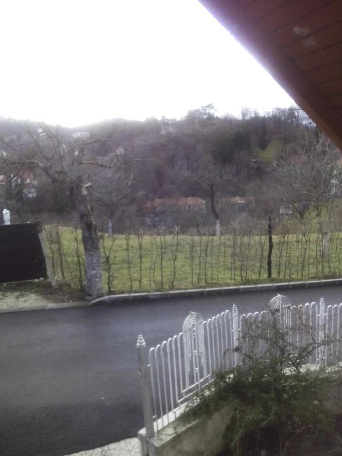 Affittacamere Stejeris Braşov
