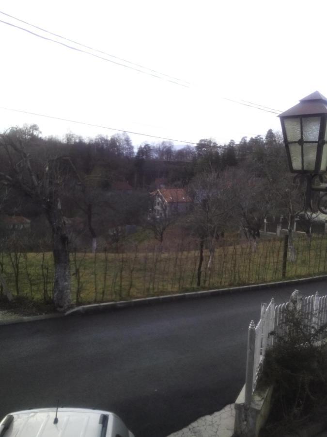 Stejeris 3* Braşov