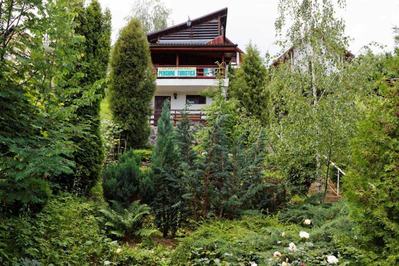 Stejeris 3* Braşov