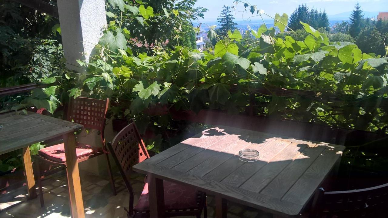 Stejeris 3* Braşov