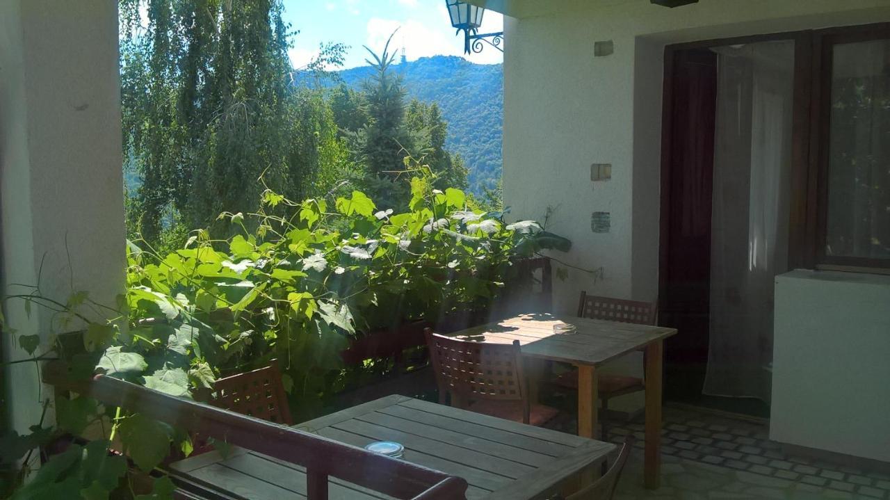 Stejeris 3* Braşov